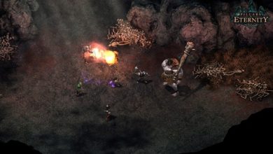 بازی Pillars of Eternity