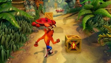 Crash Bandicoot