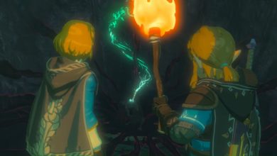 بازی The Legend of Zelda: Breath of the Wild 2