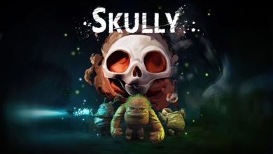 Skully cover