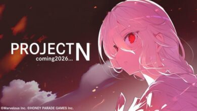project n بازی
