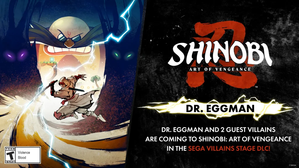 Shinobi: Art of Vengeance  بازی